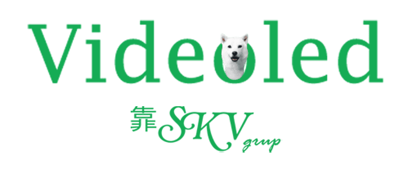 VIDEOLED